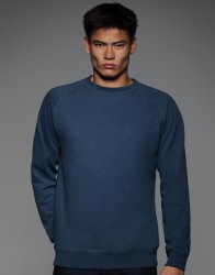 Vintage Raglan Sweat - WMD22