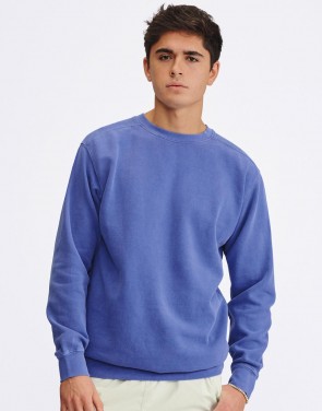 Adult Crewneck Sweatshirt