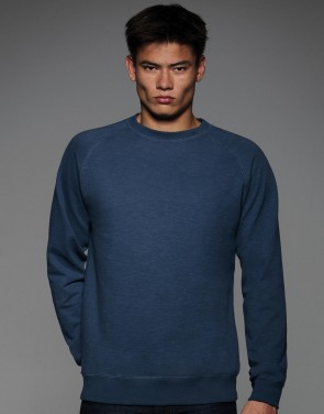 Vintage Raglan Sweat - WMD22